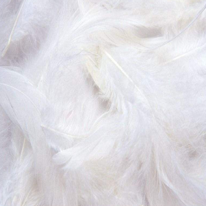 羽毛粉水解生产线