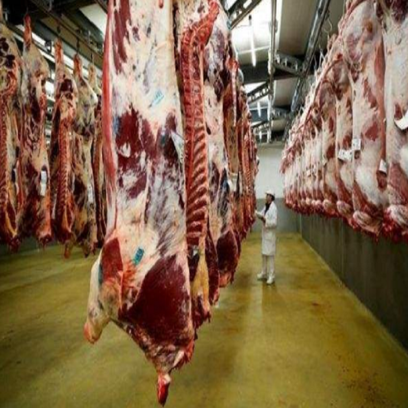 牛肉屠宰废料处理线